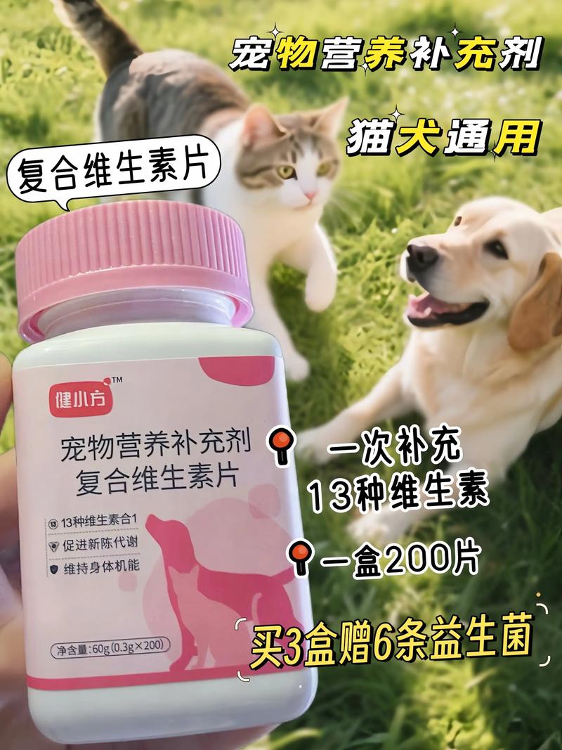 宠物益生菌：守护毛孩子的肠道健康
