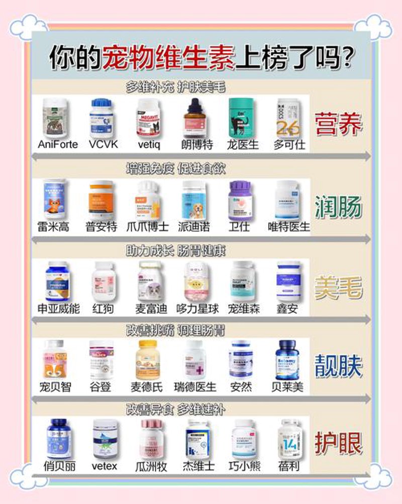 揭秘宠物维生素的秘密：如何选择适合自家宝贝的保健品？