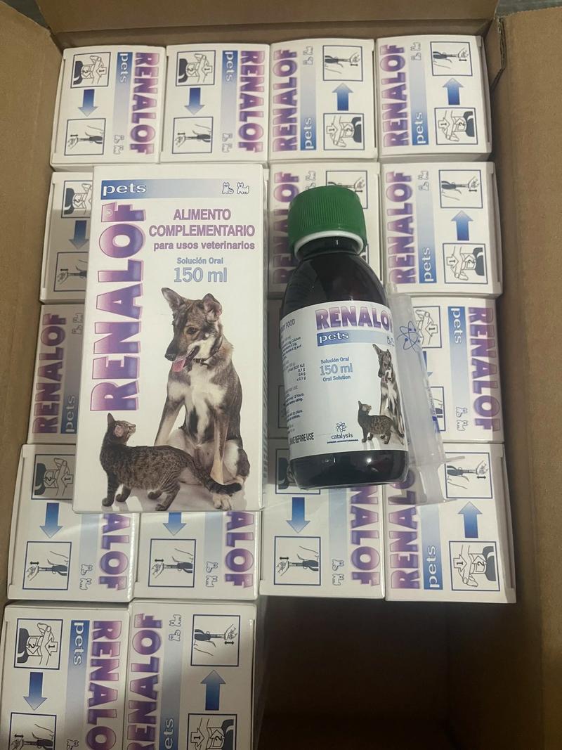 宠物肠道健康的重要守护者——益生菌